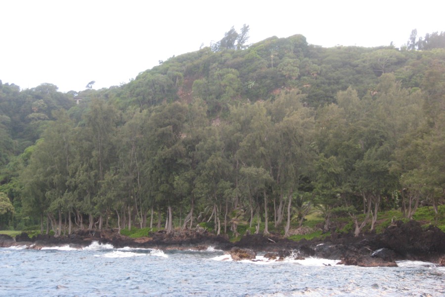 ../image/laupahoehoe point 1.jpg